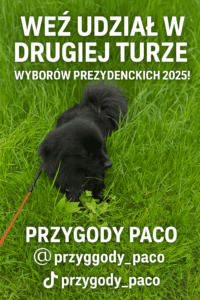 Druga tura wyborów prezydenckich 2025