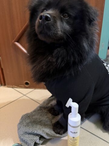 Paco iMubo No Rinse Paw Cleaning Foam Banana