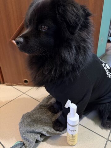 Paco i Pianka Mubo No Rinse Paw Cleaning Foam Banana