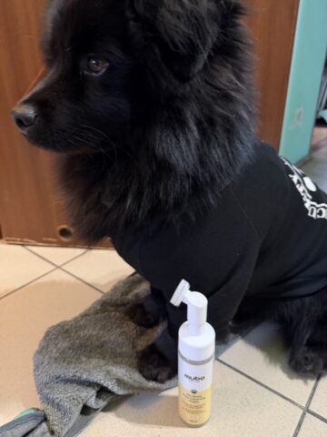 Paco i Pianka Mubo No Rinse Paw Cleaning Foam Banana