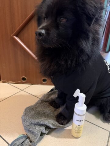 Paco i Pianka Mubo No Rinse Paw Cleaning Foam Banana