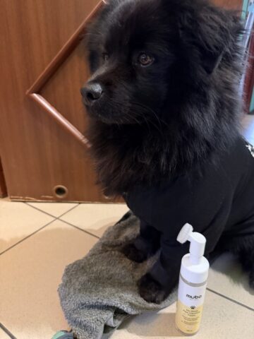 Paco i Pianka Mubo No Rinse Paw Cleaning Foam Banana
