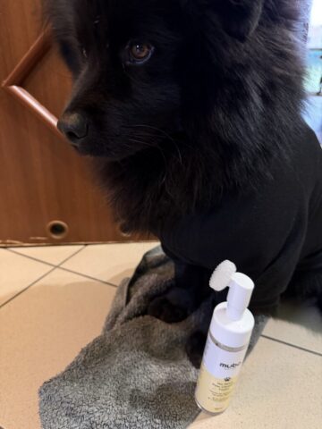 Paco i Pianka Mubo No Rinse Paw Cleaning Foam Banana