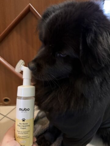 Paco i Pianka Mubo No Rinse Paw Cleaning Foam Banana