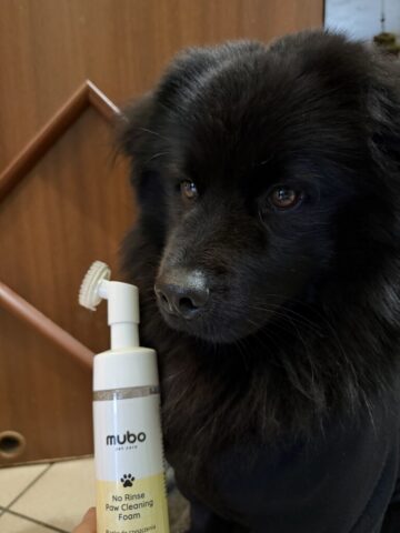 Paco i Pianka Mubo No Rinse Paw Cleaning Foam Banana