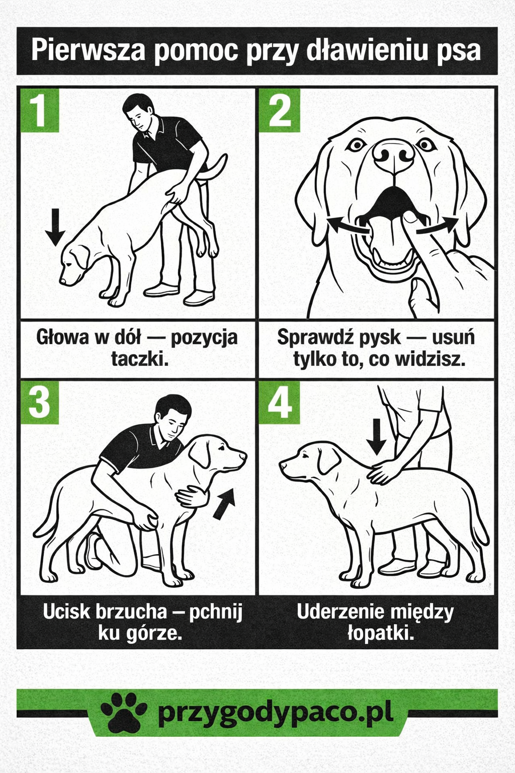 Pies się dławi 4 kroki
