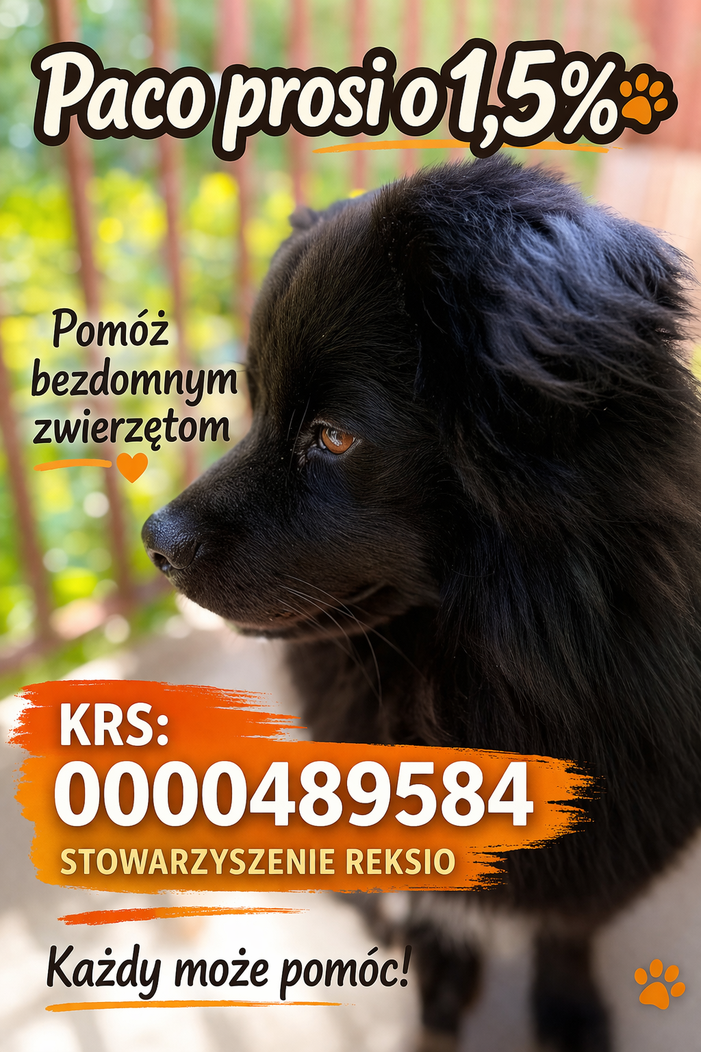 1 5 procent dla zwierząt Bielsko-Biała Paco