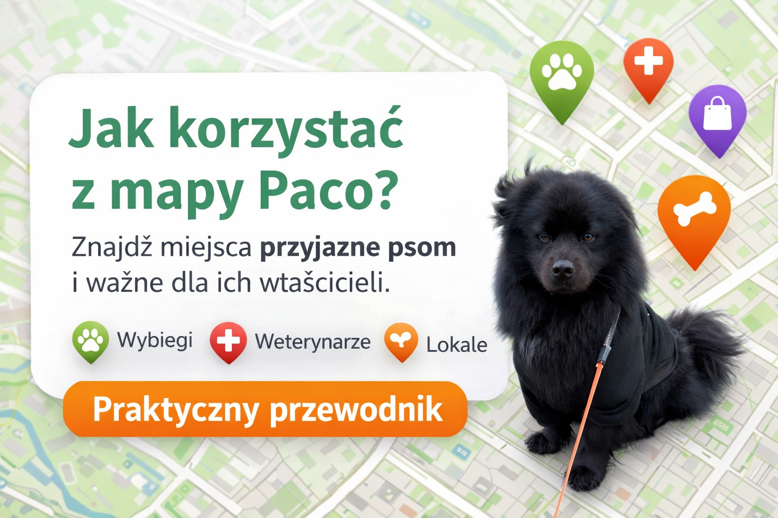 Jak działa mapa Paco