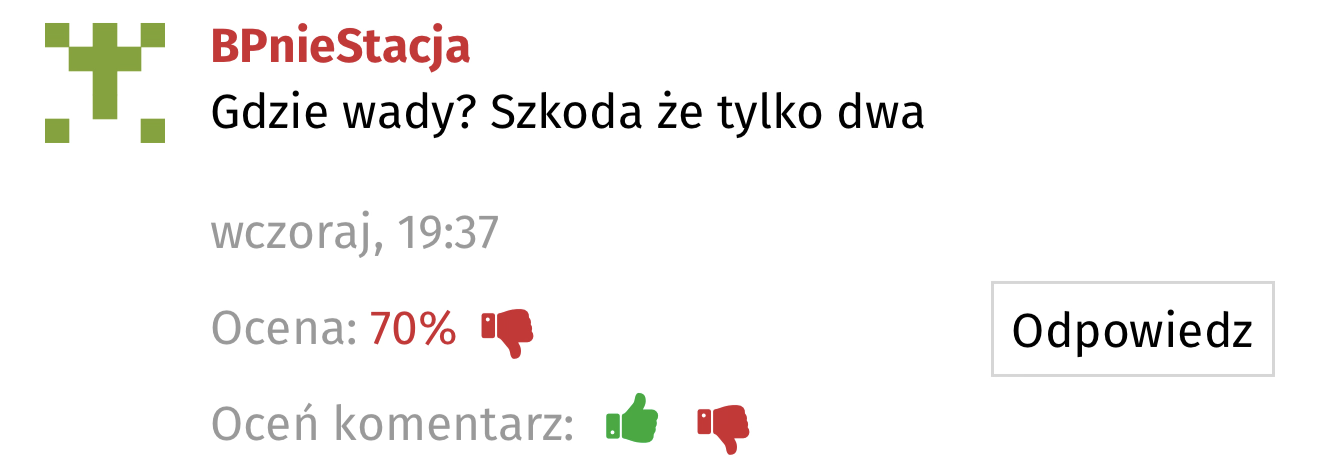 90 minut spaceru z psem - komentarz z portalu 