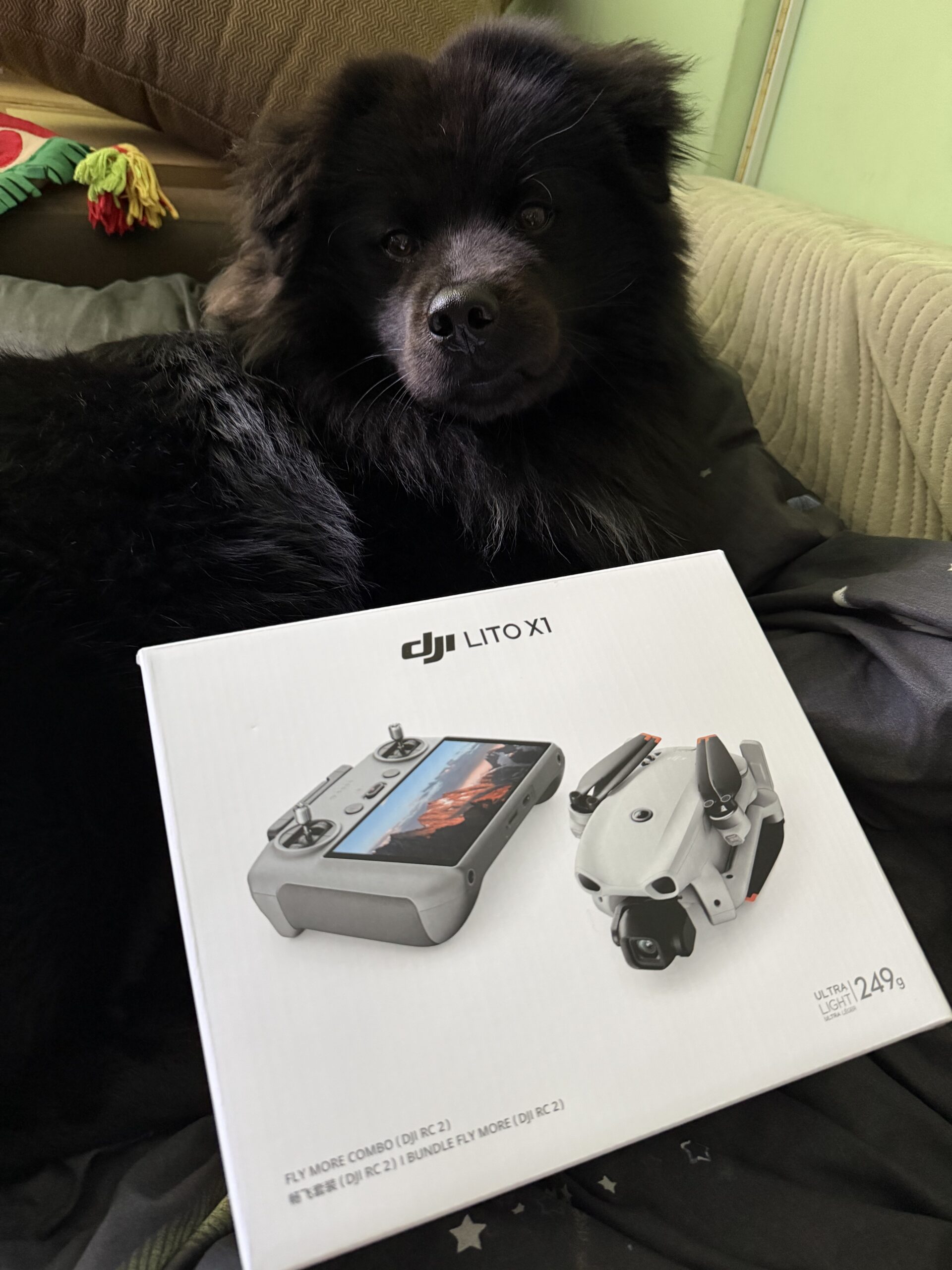 DJI Lito X1