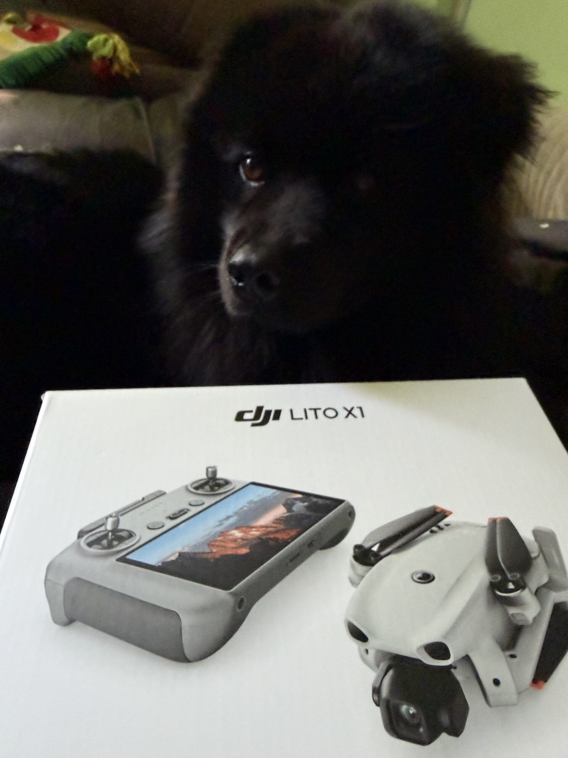 DJI Lito X1