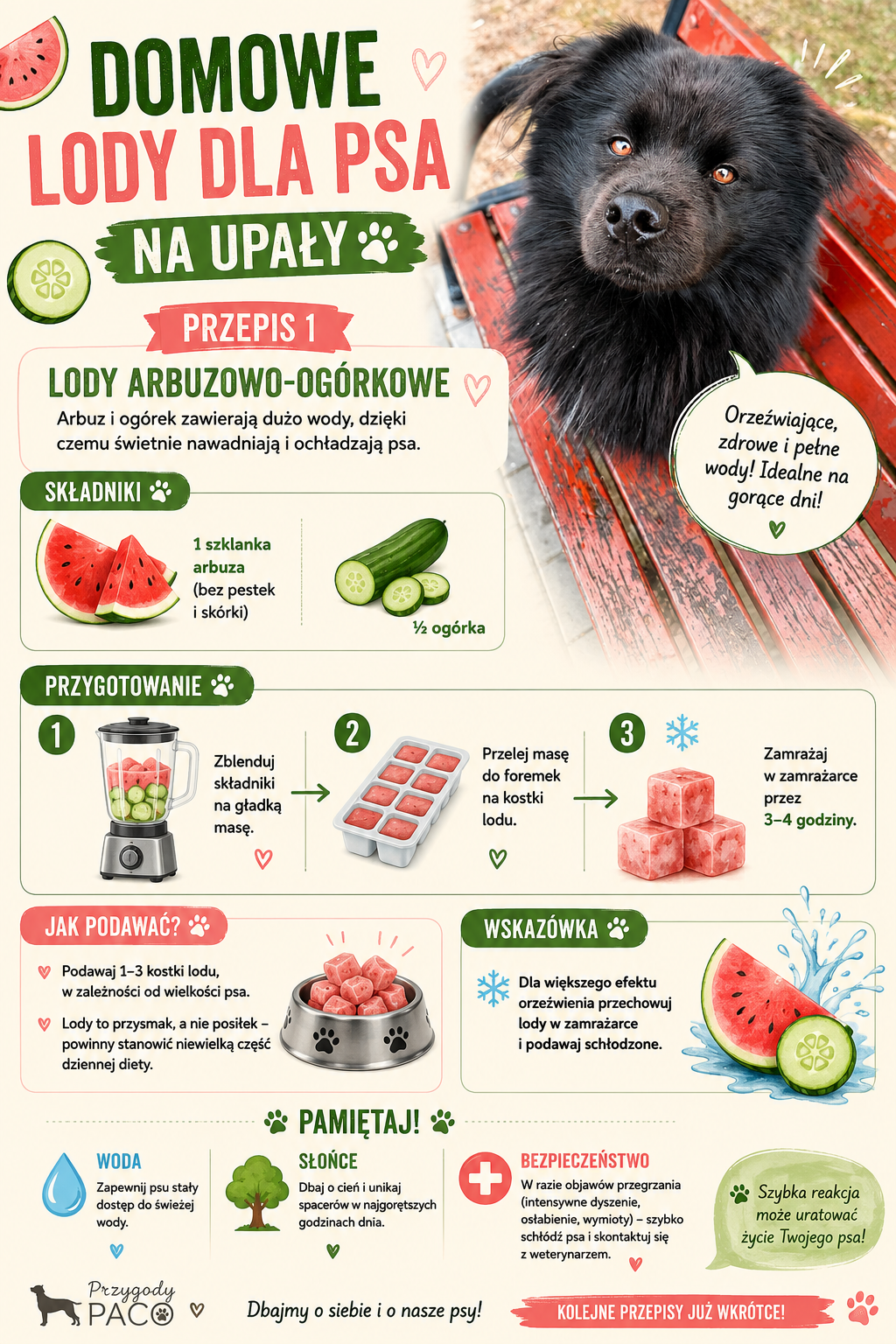 Domowe lody dla psa