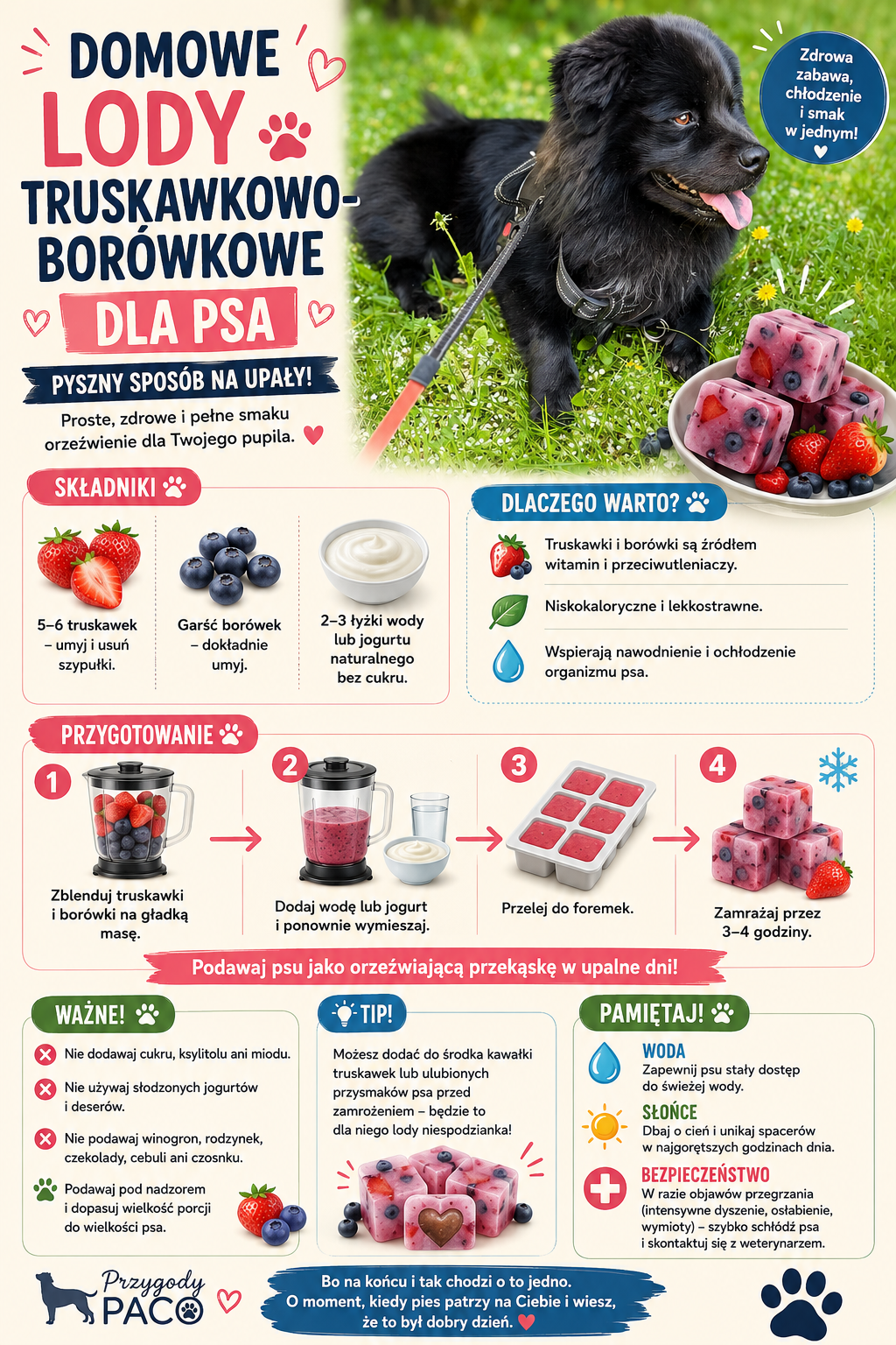 Lody truskawkowo-borówkowe dla psa