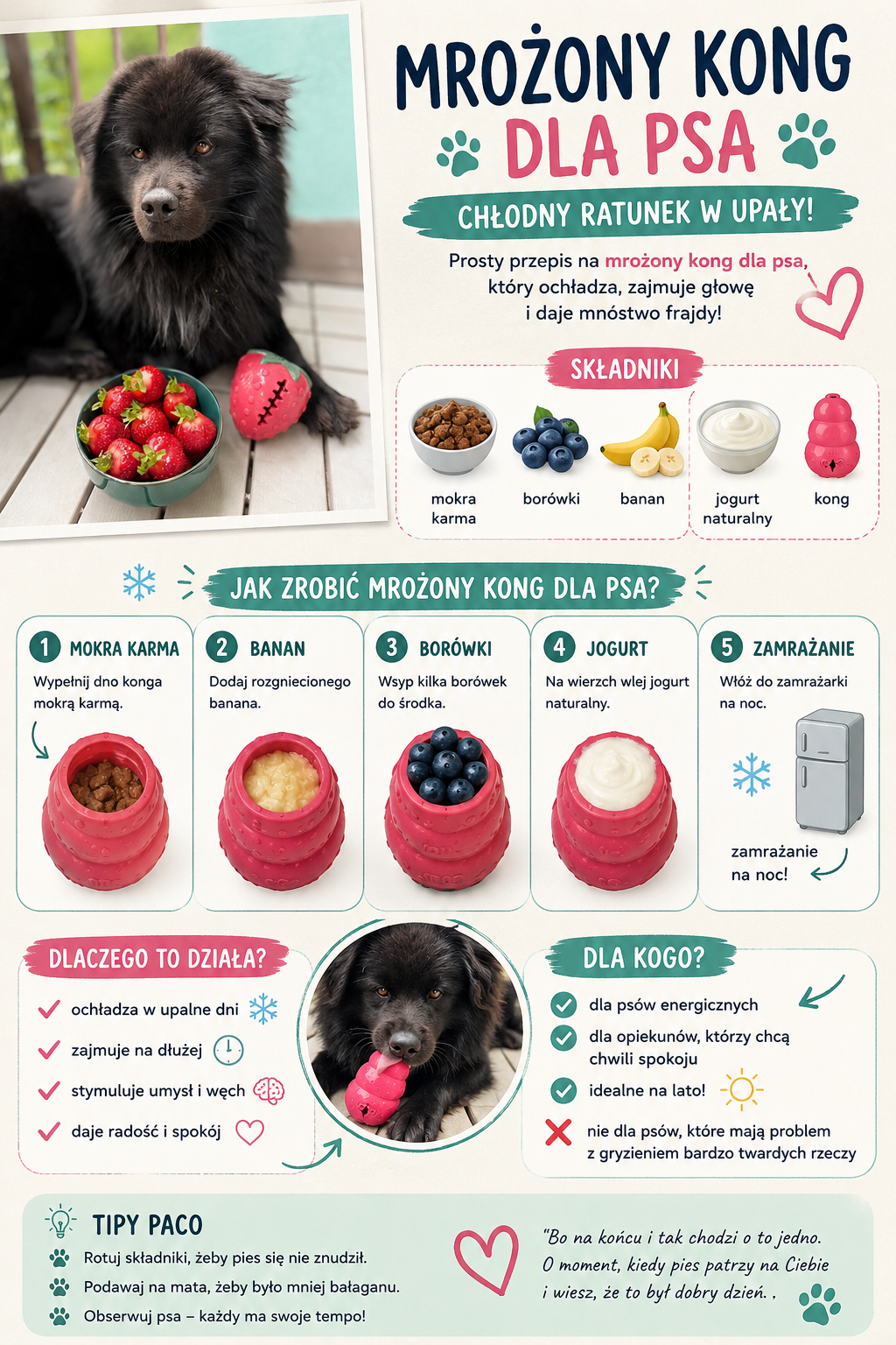 Mrożony kong dla psa
