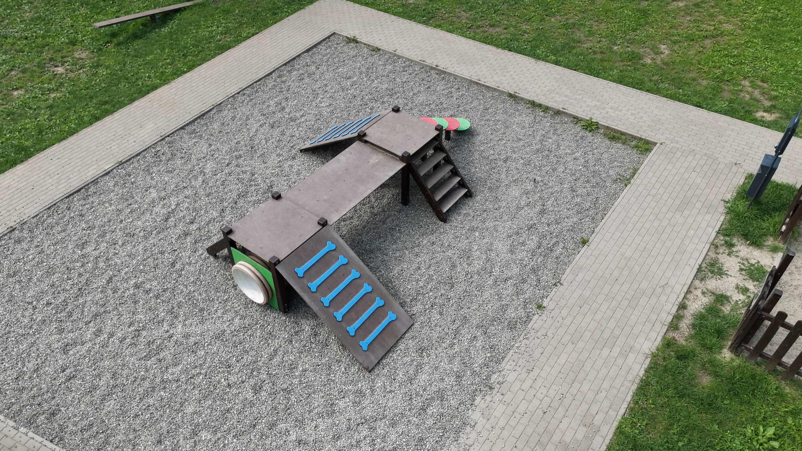 Pies i dron