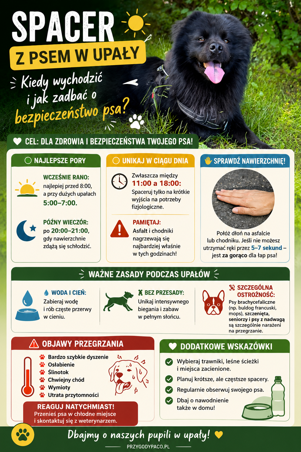 Spacer z psem w upały