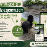 Gdzie Z Psem