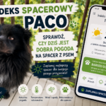 Indeks Spacerowy Paco