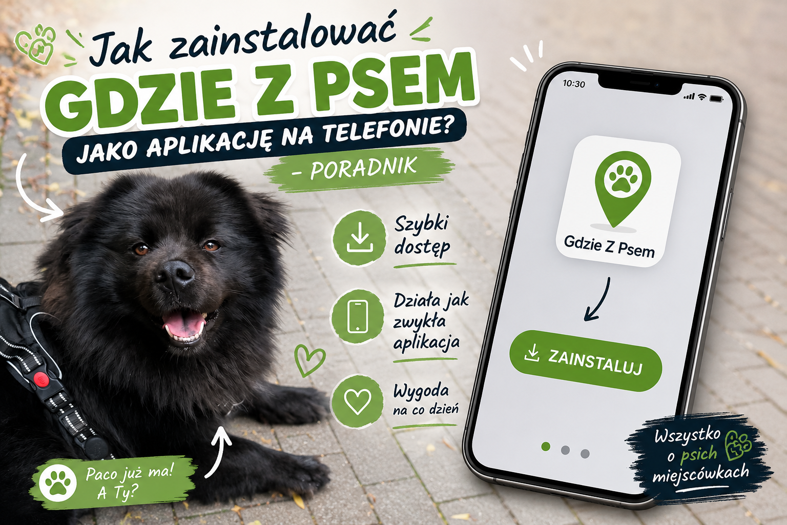 Jak zainstalować aplikacje Gdzie Z Psem na telefonie