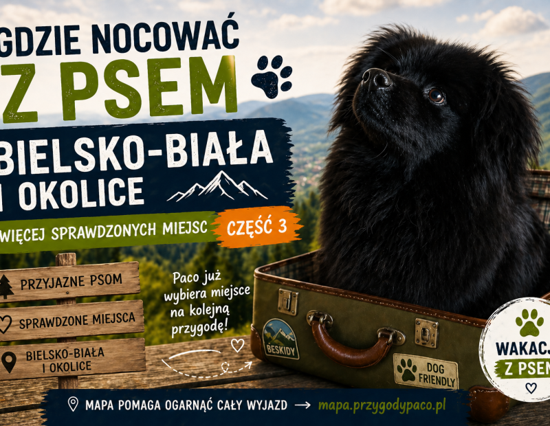 Gdzie nocować z psem Bielsko-Biała i okolice