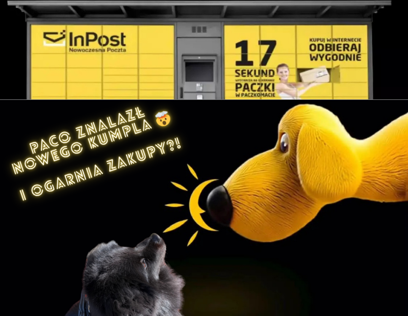 InPost Buy co to jest – czy Von Halsky