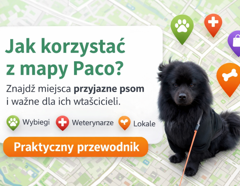 Jak działa mapa Paco