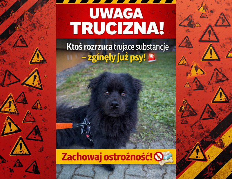 alert