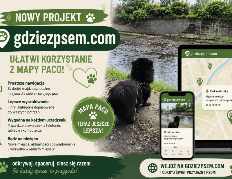 Gdzie Z Psem