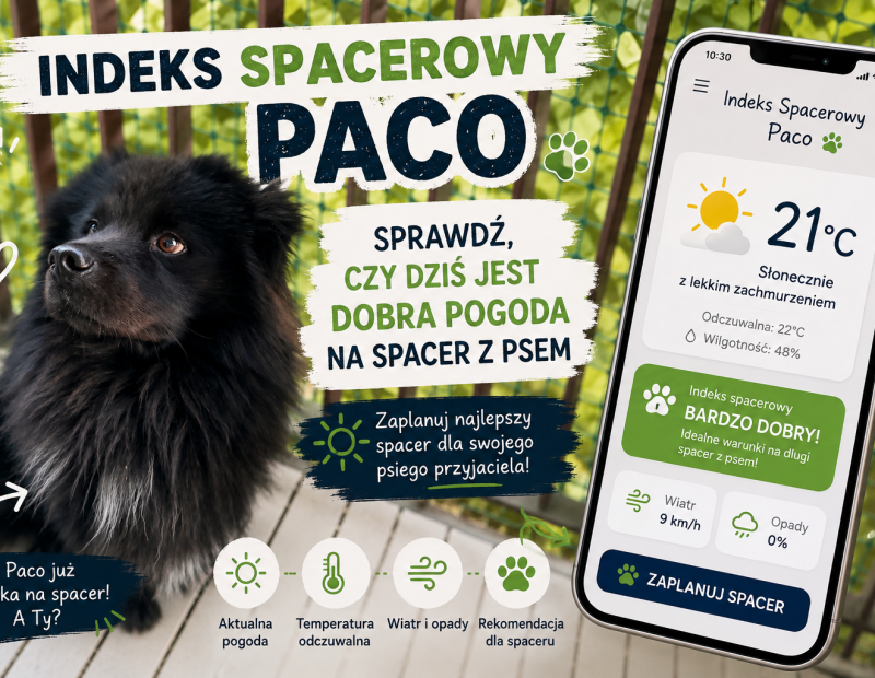 Indeks Spacerowy Paco