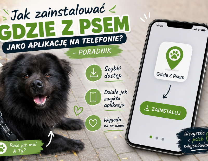 Jak zainstalować aplikacje Gdzie Z Psem na telefonie