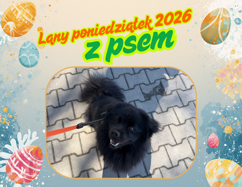lany poniedzialek