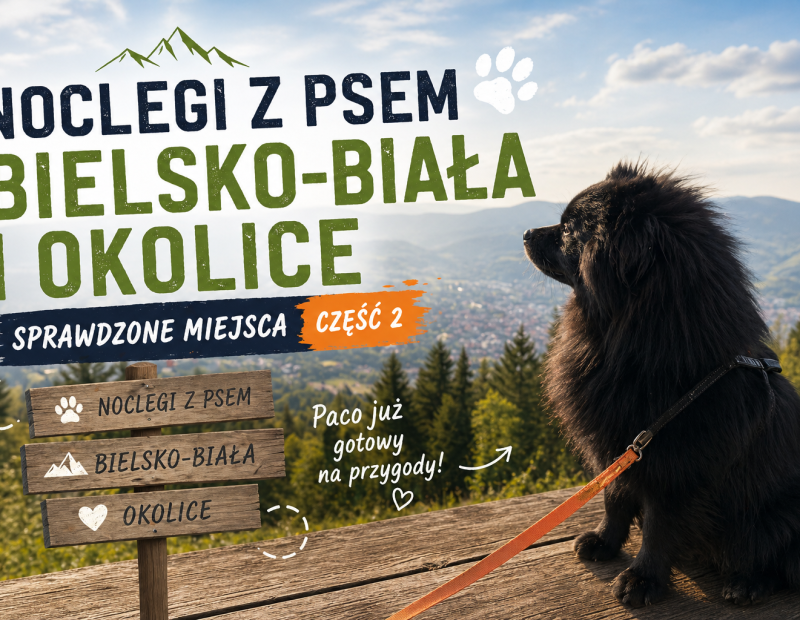 Noclegi z psem Bielsko-Biała i okolice