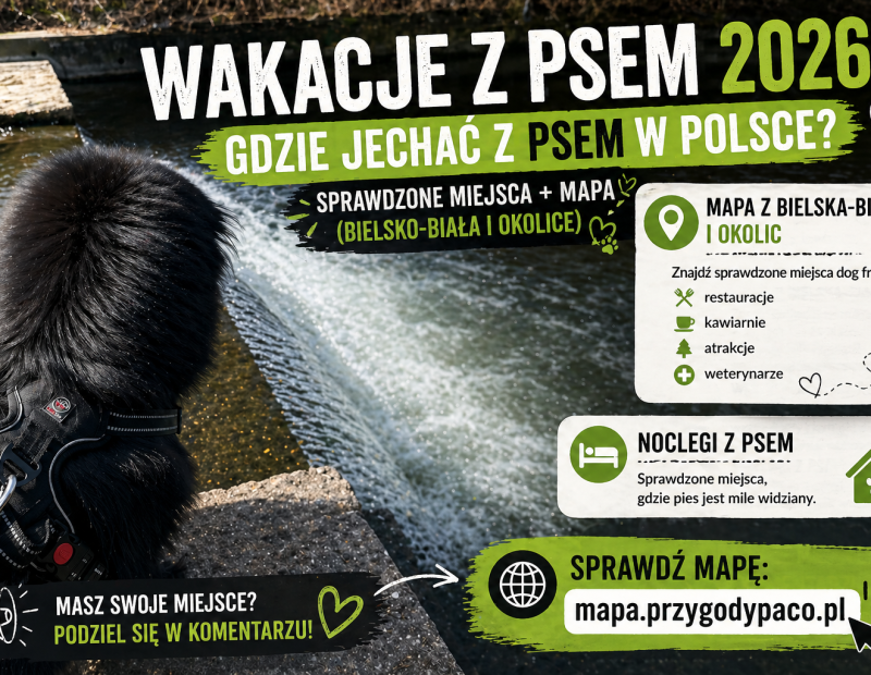 WAKACJE Z PSEM 2026 GDZIE JECHAĆ Z PSEM W POLSCE?